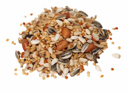 Birdseed Storage Container Image